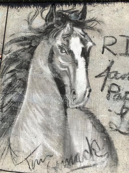 arte-de-tiza-horse