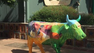cow parade