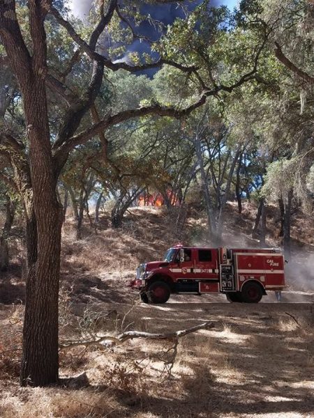 Photo from eye witness Susanne Waite.