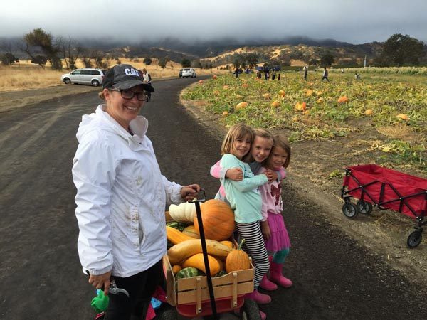 u-pick-pumpkins