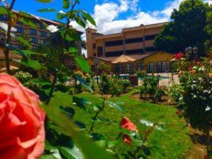 A peek of the Santa Maria Inn through the rose garden.