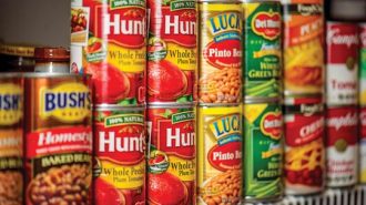 fort hunter ligget donates