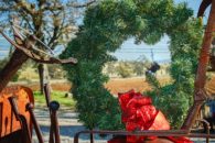 holiday_certificate-195x130