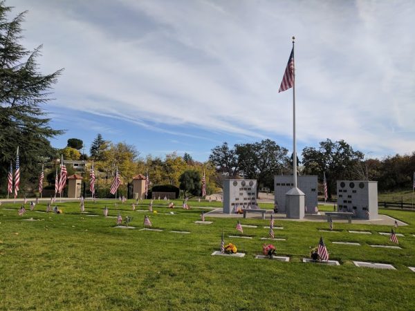 Flags at the Paso Robles District Cemetery. Photo by DuPree Dial.