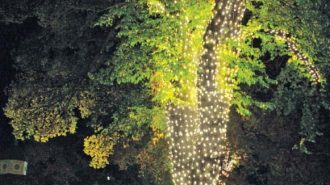 Cancer Support Community, Paso Robles, Templeton