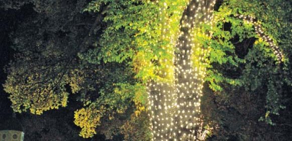 Cancer Support Community, Paso Robles, Templeton