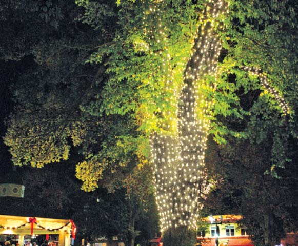 Lights of Hope, Cancer Support Community, Paso Robles, Templeton