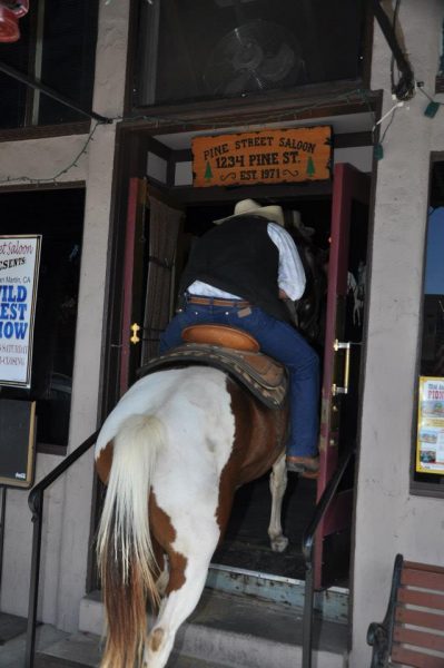 horse-entering-bar