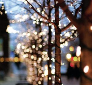 Lights of Hope, Cancer Support Community, Paso Robles, Templeton