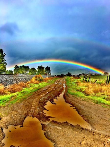 Photo by Trisha Butcher