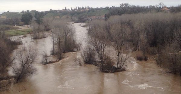 salinas-river-paso-robles