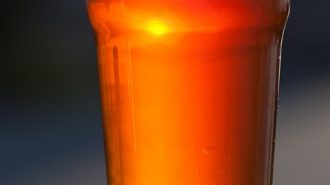 Beer tasting paso robles