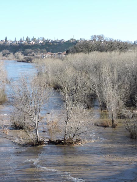 Photo by Skye Pratt.