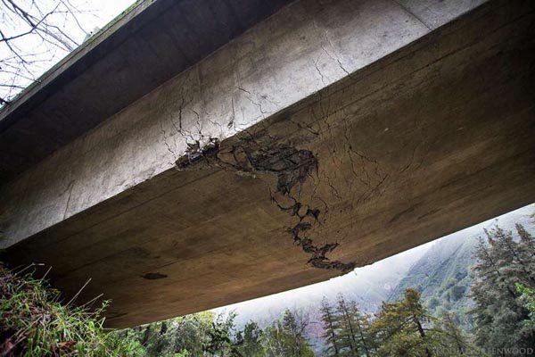 Photo: Kodiak Greenwood, SFGate.