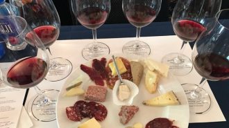 best pinot noir in Paso Robles