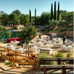 Screen Shot 2017-03-22 at 9.49.11 PM