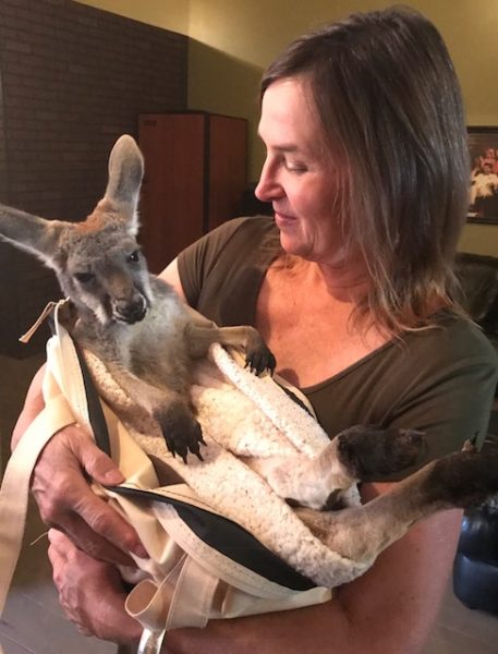 Pandee Pearson cradles seven-month-old kangaroo at Domaine Degher/Diablo Paso tasting room Photos by Mira Honeycutt