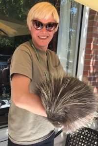 Volunteer Megan Copher with Priscilla the porcupine at Parrish Family Estate tasting room