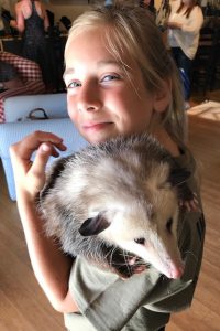Young volunteer Ashley minding the opossum at Arroyo Robles tasting room