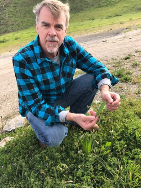 Chef Eric Olson foraging along Highway 46 West Photos by Mira Honeycutt