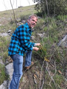 Chef Eric Olson looking for wild fennel