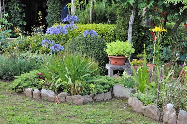 multiflora garden club