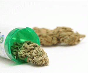 cannabis retail store morro bay