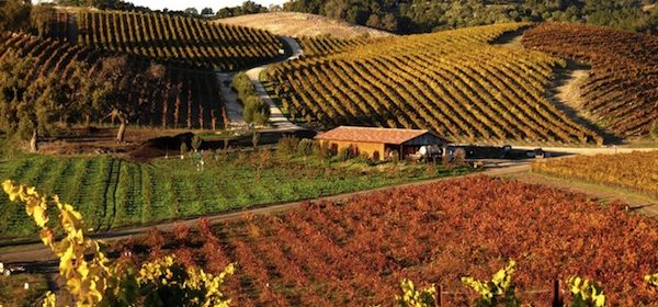 Tablas Creek named to 'Top 100 Wineries in the World' list