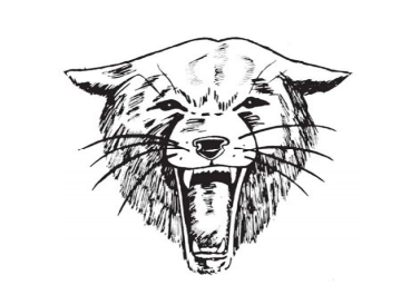 Bearcat sports paso robles high school