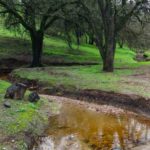Best summer camps for kids in Paso Robles and the North County