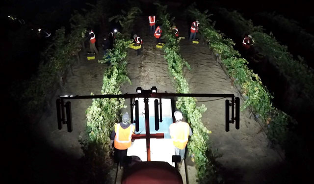 night harvesting lights