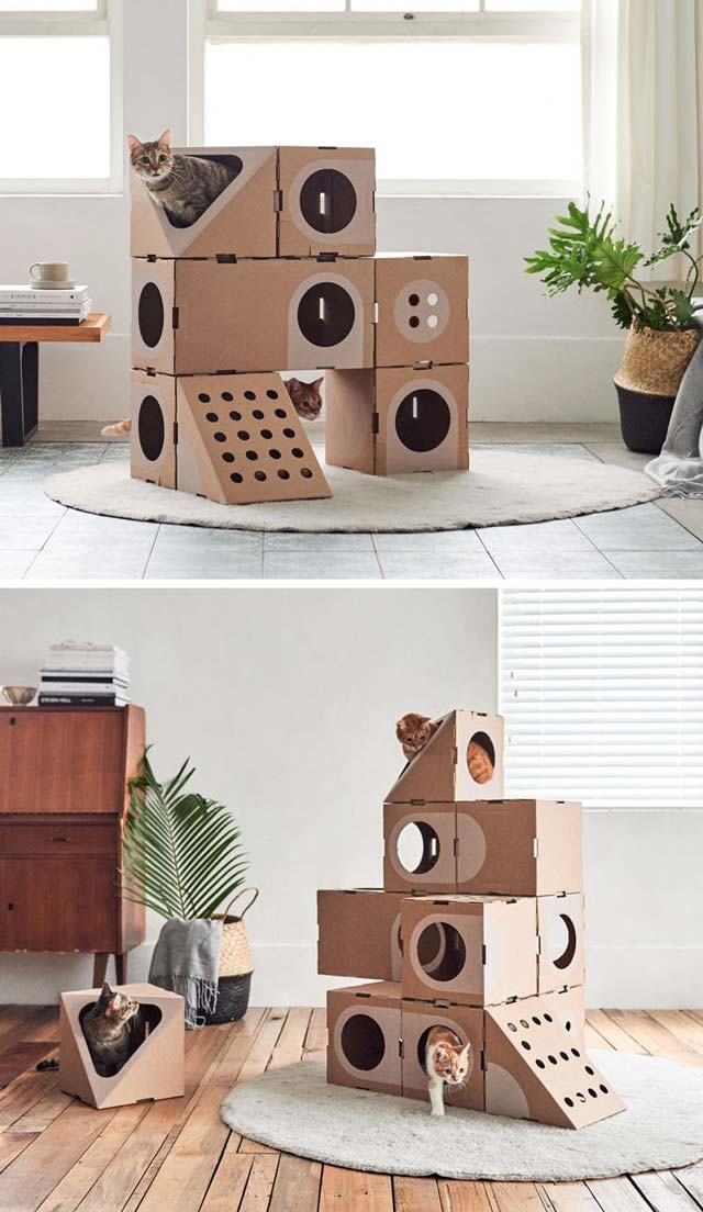 cat module boxes