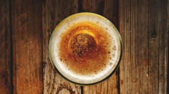 Mid-State Fair Home Brew Competition