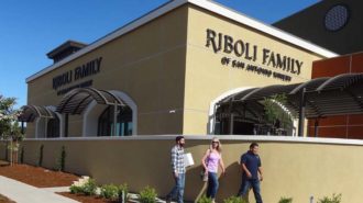 Riboli family winery
