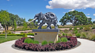 Sculpterra winery photo contest