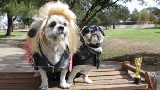 Howl’oween-at-sherwood-dog-park