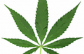 Paso Robles to review cannabis delivery offices at study session