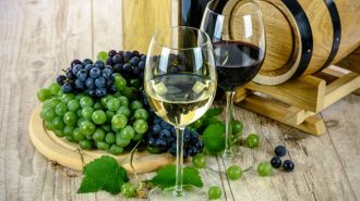 spanish style paso robles wines
