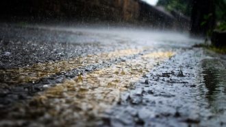 rainfall paso robles