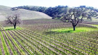 Backroads wineries paso robles