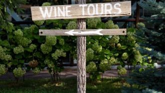 best paso robles tours