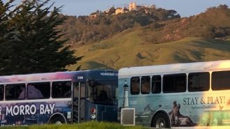 Buses and Hearst Castle