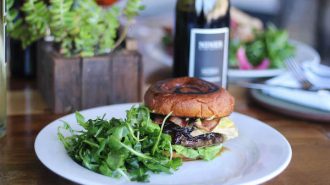 best wineries with food in paso robles
