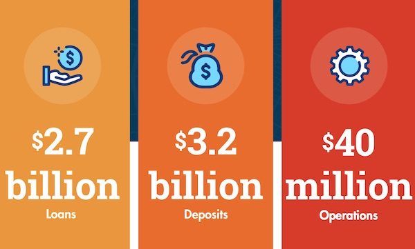 credit union financial report