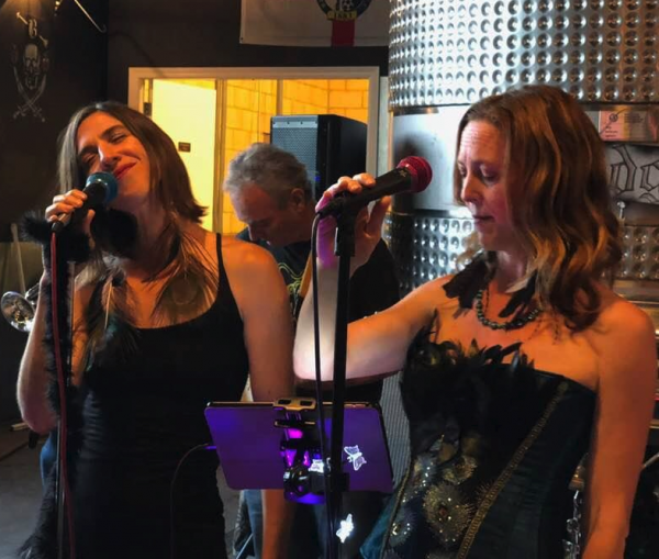 winery musician in paso robles