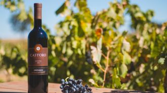 Castoro cellars wine paso robles