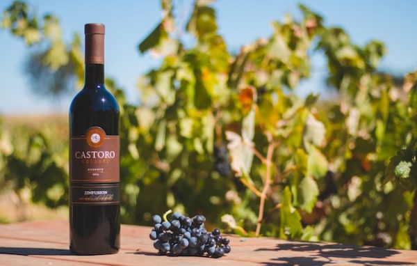 Castoro cellars wine paso robles