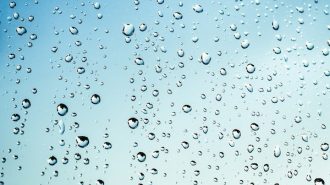rainfall paso robles