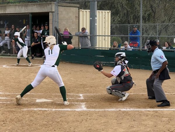 North county sports