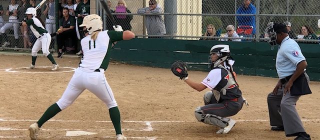 North county sports